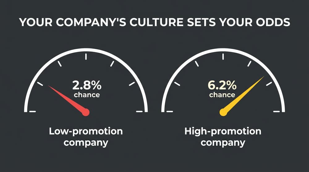 Your Company's Culture Quietly Decides Your Odds